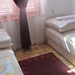 Kismadár Kiskunmajsa